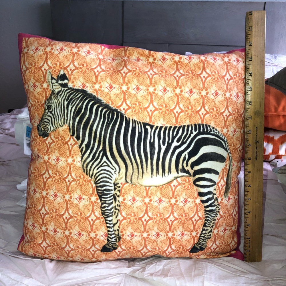 Pottery Barn Zebra Pillow